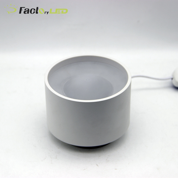 LED Surface Mounted Downlight Round Shape Indoor Lighting 