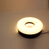 Hot Sale Plastic Wall Light 30W Weather Proof Lamp IP44 Round Indoor Tri Proof for Bathroom Porch Veranda