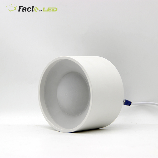 LED Surface Mounted Downlight Round Shape Indoor Lighting 