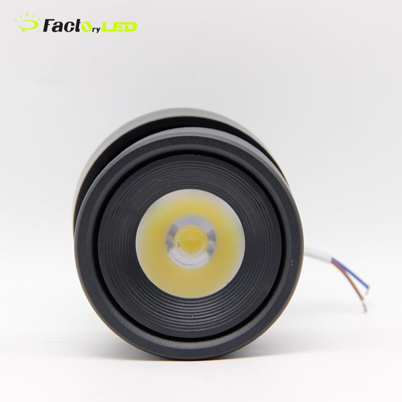 White or Black Housing Small Led Spot Light AC85-265V 10w Hotel Led 24 Degree Track Light 